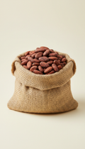 Ugandan cocoa beans in jute sack